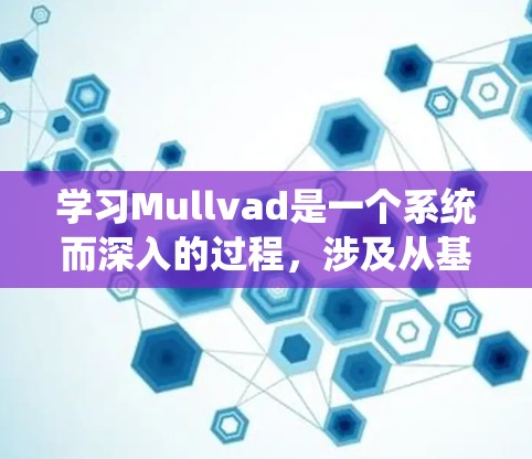 学习Mullvad是一个系统而深入的过程,涉及从基础语法到高级功能的逐步学习,以及与硬件的结合应用。以下是一个详细的指南,帮助您逐步掌握Mullvad