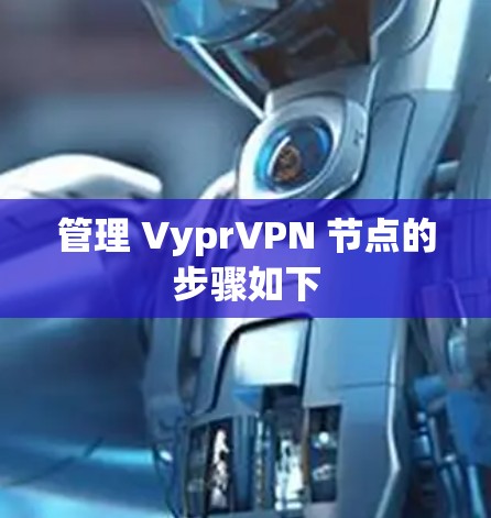 管理 VyprVPN 节点的步骤如下