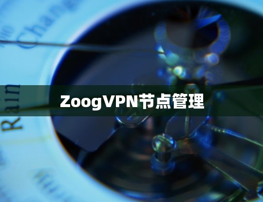 ZoogVPN节点管理