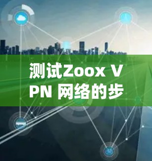 测试Zoox VPN 网络的步骤如下