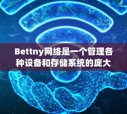 Bettny网络是一个管理各种设备和存储系统的庞大生态系统,主要用于存储、网络和数据管理。以下是关于Bettny网络的详细分析