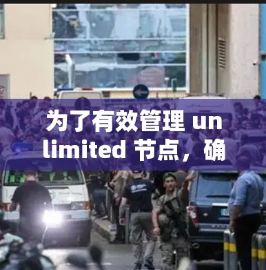 为了有效管理 unlimited 节点,确保访问范围被限制合理,同时保障访问的安全性,可以按照以下步骤进行