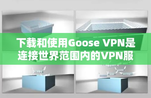 下载和使用Goose VPN是连接世界范围内的VPN服务的一种有效方式。以下是详细的步骤指南
