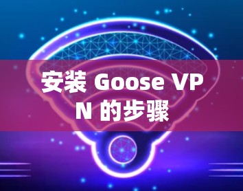 安装 Goose VPN 的步骤