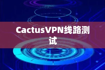 CactusVPN线路测试