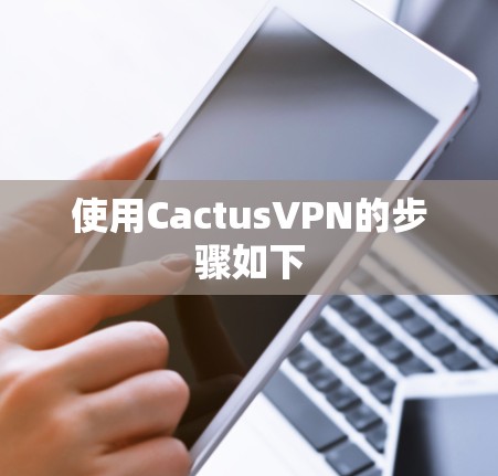 使用CactusVPN的步骤如下