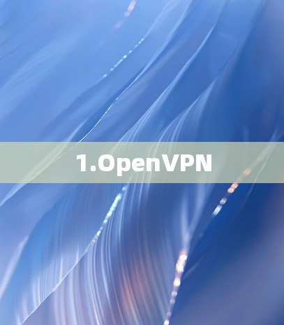 1.OpenVPN