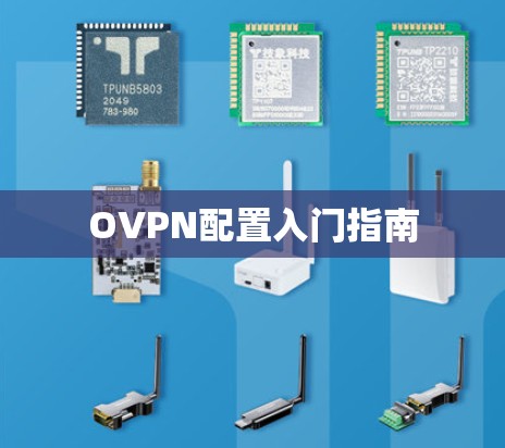 OVPN配置入门指南