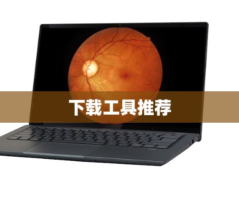 下载工具推荐