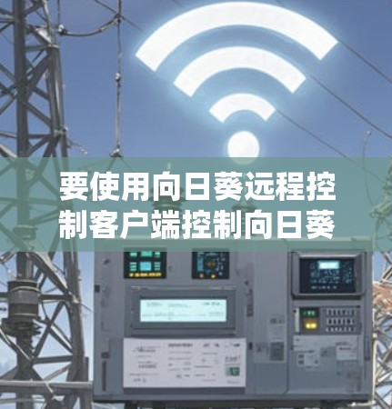 要使用向日葵远程控制客户端控制向日葵向日葵,您可以按照以下步骤操作