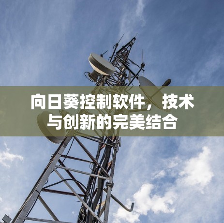向日葵控制软件，技术与创新的完美结合