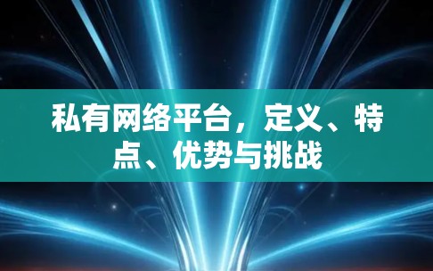私有网络平台，定义、特点、优势与挑战