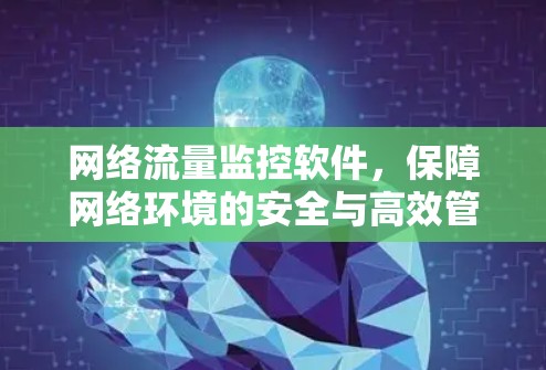 网络流量监控软件，保障网络环境的安全与高效管理