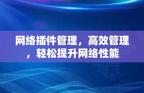 网络插件管理，高效管理，轻松提升网络性能