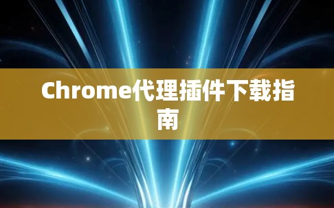 Chrome代理插件下载指南