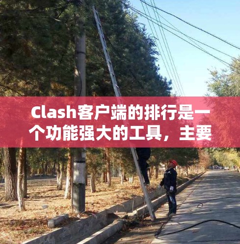 Clash客户端的排行是一个功能强大的工具,主要用于管理客户端上的设备和游戏设置。以下是关于排行的详细信息