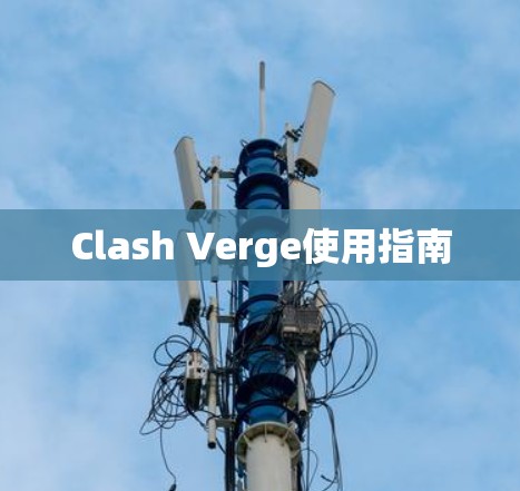 Clash Verge使用指南