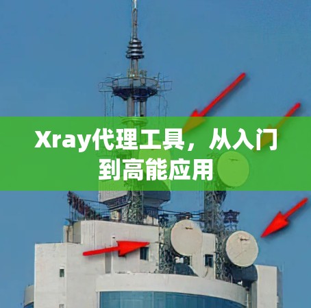 Xray代理工具，从入门到高能应用
