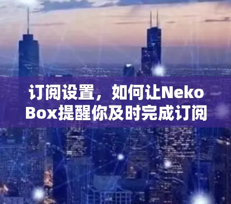 订阅设置,如何让NekoBox提醒你及时完成订阅?