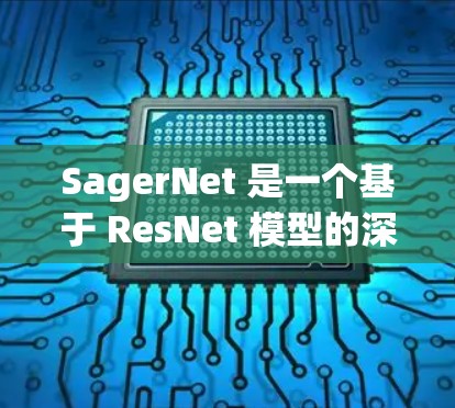 SagerNet 是一个基于 ResNet 模型的深度学习框架，用于图像分割任务。以下是其主要结构和特点的详细说明