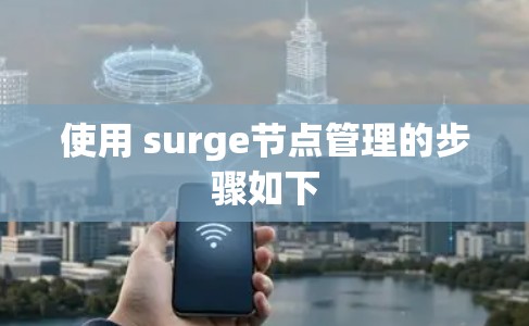 使用 surge节点管理的步骤如下