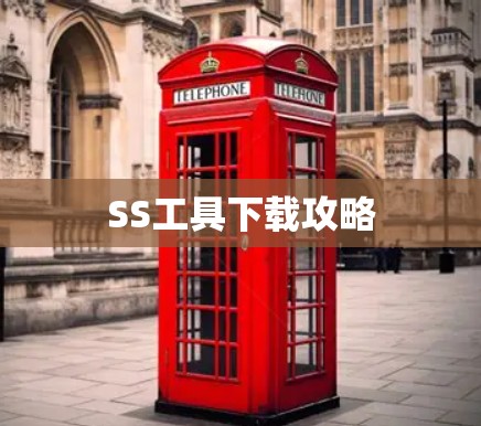 SS工具下载攻略