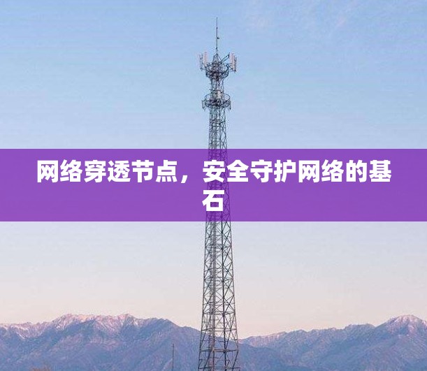 网络穿透节点,安全守护网络的基石 网络穿透节点,安全守护网络的基石
