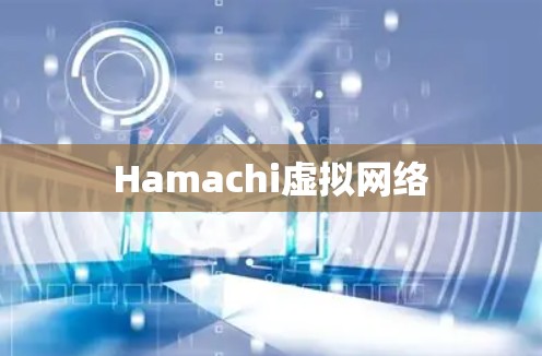 Hamachi虚拟网络 Hamachi虚拟网络