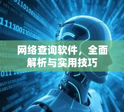 网络查询软件，全面解析与实用技巧