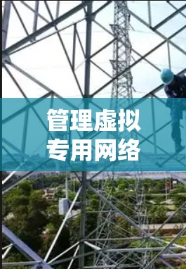管理虚拟专用网络助手,让网络更高效