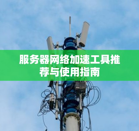 服务器网络加速工具推荐与使用指南