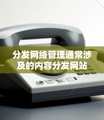 分发网络管理通常涉及的内容分发网站(如B2B、B2C等)的网络设置和管理,主要包括以下内容