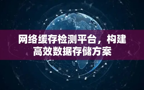 网络缓存检测平台，构建高效数据存储方案
