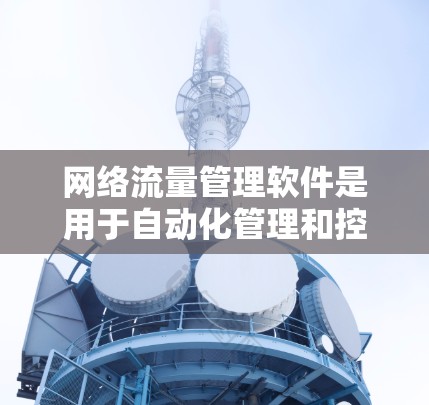 网络流量管理软件是用于自动化管理和控制网络流量的工具,旨在优化网络性能和资源利用。以下是该领域的详细分析