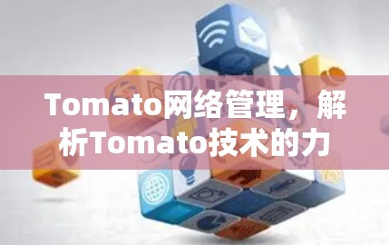 Tomato网络管理，解析Tomato技术的力量