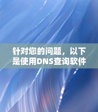 针对您的问题，以下是使用DNS查询软件解决网络连接问题的步骤和建议