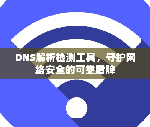DNS解析检测工具,守护网络安全的可靠盾牌
