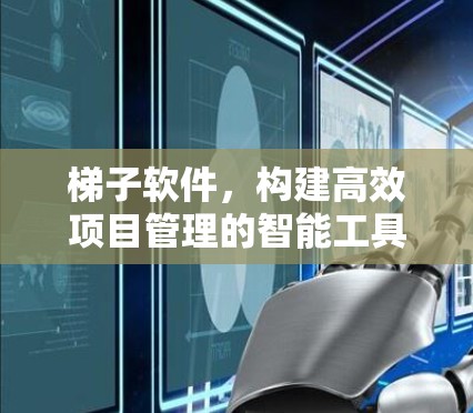 梯子软件，构建高效项目管理的智能工具