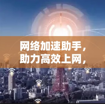 网络加速助手，助力高效上网，轻松应对网络挑战