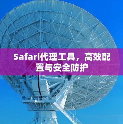 Safari代理工具，高效配置与安全防护