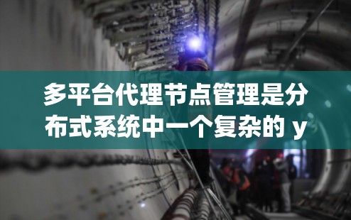 多平台代理节点管理是分布式系统中一个复杂的 yet 高效的解决方案，它允许在支持多种操作系统或虚拟化环境的平台上运行应用。以下是对多平台代理节点管理的详细总结