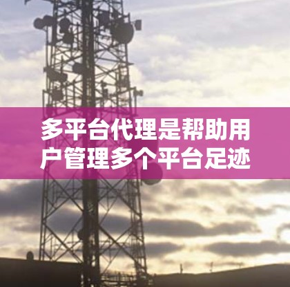 多平台代理是帮助用户管理多个平台足迹、收集信息并进行交易的工具。以下是详细的指南,帮助您选择和使用多平台代理