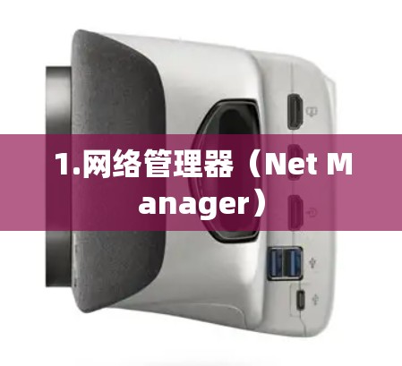 1.网络管理器(Net Manager) 1.网络管理器(Net Manager)