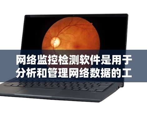 网络监控检测软件是用于分析和管理网络数据的工具，帮助识别异常行为并发出警报。以下是关于该主题的详细总结