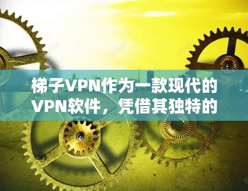 梯子VPN作为一款现代的VPN软件，凭借其独特的梯子协议和丰富的功能，逐渐成为用户选择连接安全网络的首选工具。以下是针对梯子VPN的详细分析和推荐