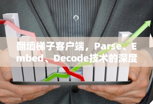 翻墙梯子客户端，Parse、Embed、Decode技术的深度探索与创新