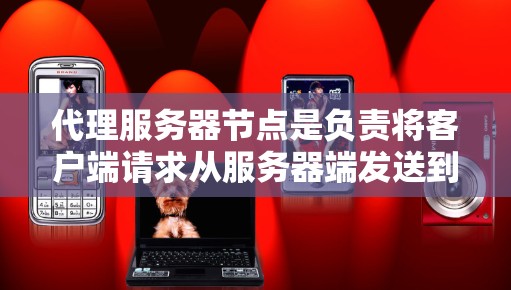 代理服务器节点是负责将客户端请求从服务器端发送到目标服务器的中间节点。测试代理服务器节点时，需要仔细检查网络连接、配置、服务器状态以及性能等多方面。以下是详细的步骤和注意事项