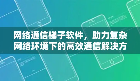 网络通信梯子软件，助力复杂网络环境下的高效通信解决方案