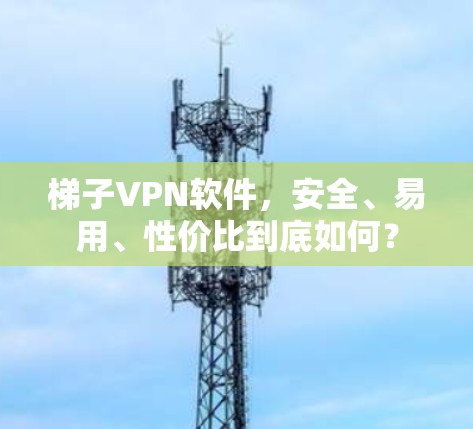 梯子VPN软件,安全、易用、性价比到底如何? 梯子VPN软件,安全、易用、性价比到底如何?