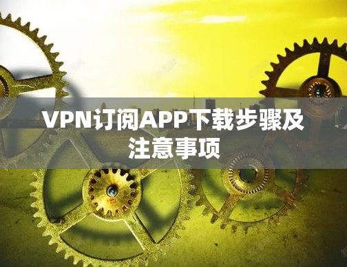VPN订阅APP下载步骤及注意事项
